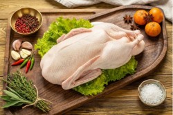 Runner Duck-with skin